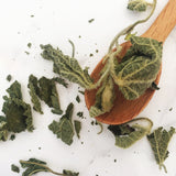 Detox Wild Nettle & Cacao Tisane Infusion