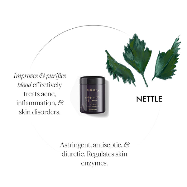 Detox Wild Nettle & Cacao Tisane Infusion