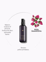 Wild Rose Himalayan Mist