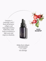Wild Rosehip Supercritical Oil